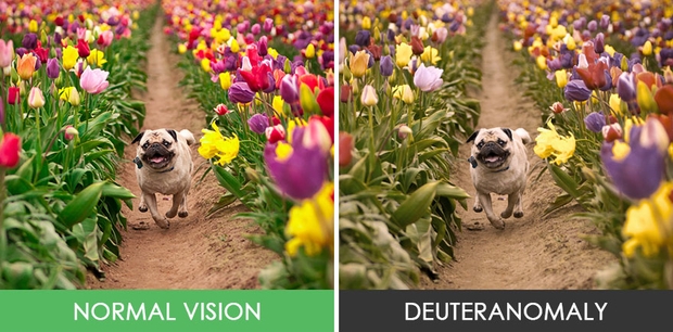 different types color blindness photos 41