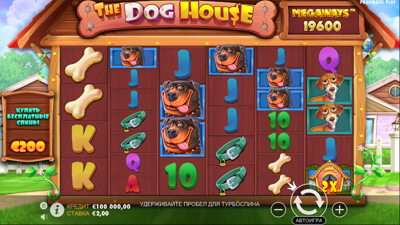 dog house scr