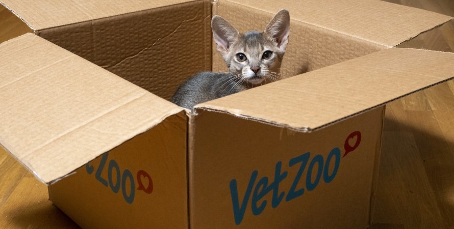 c51fa5f2 91ea7aeaff4bd086bcc26d8565d4c3b0