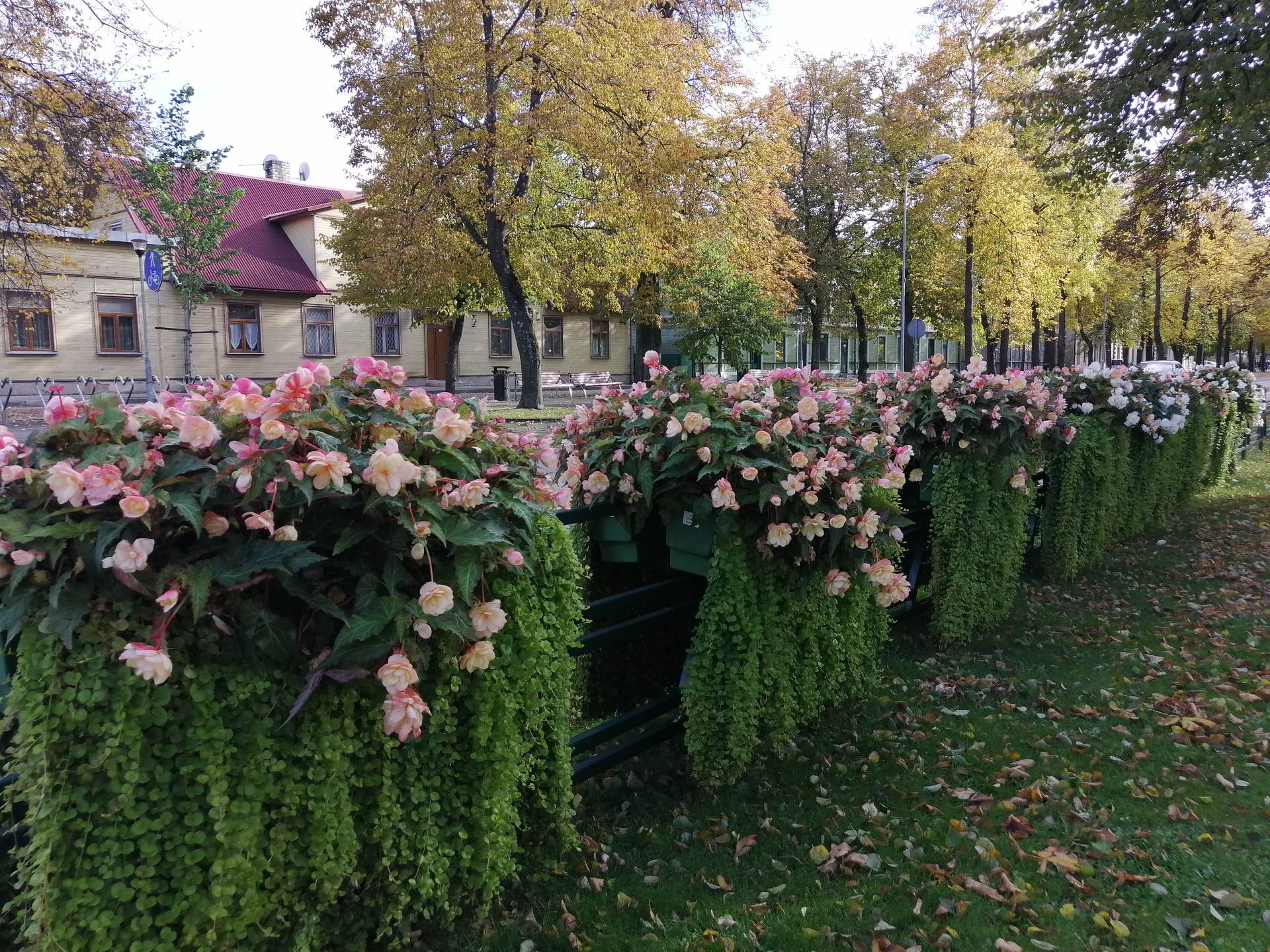 riga16