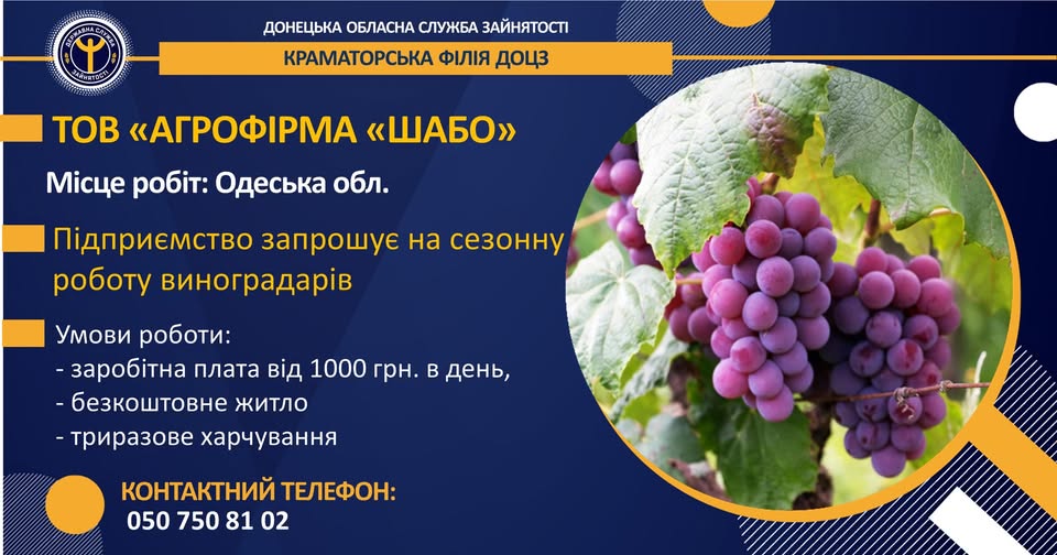 4975243366343280 n