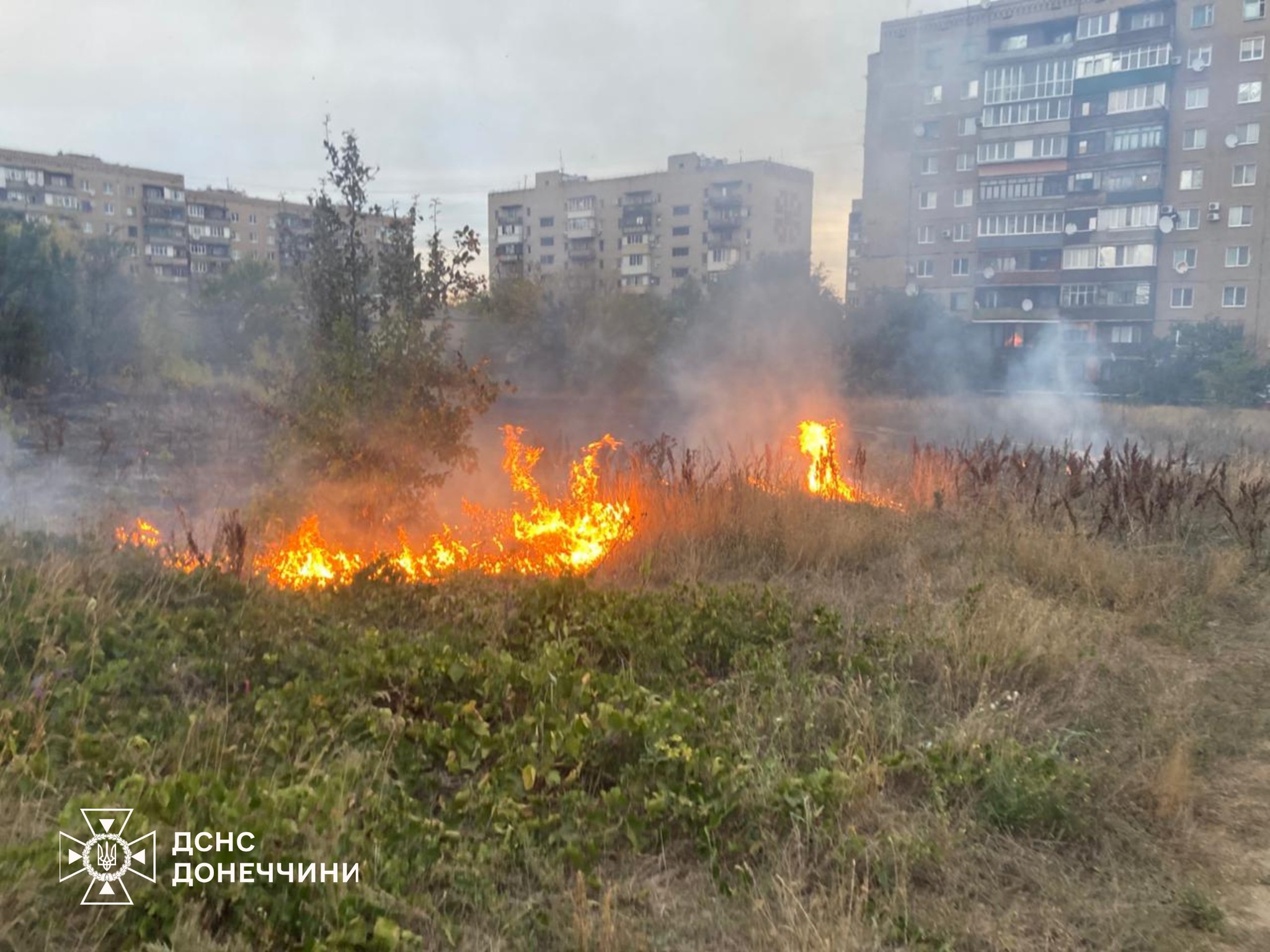 557020384 1225875009581235 4345359436248569978 n