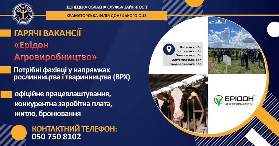 5616145993 n