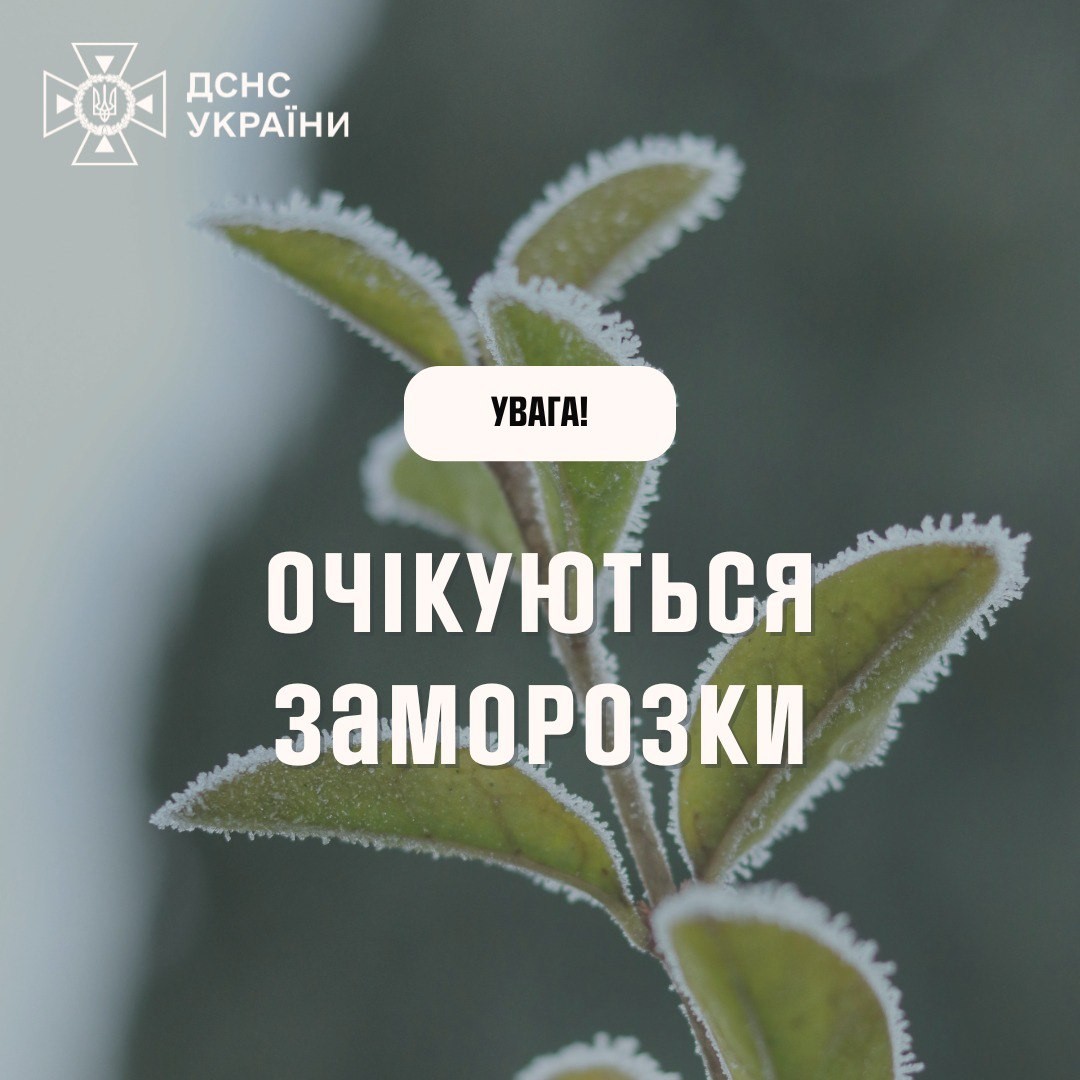 564216355 1226079696227812 1962673180237503714 n