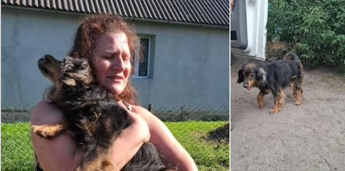 656565646пварпрвааворкарвкреккор