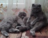 Фото: Анны Степановой